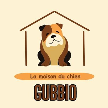 Gubbio - La maison du chien