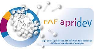 URGENT-Coordonner le dispositif emploi de déficients visuels #105122